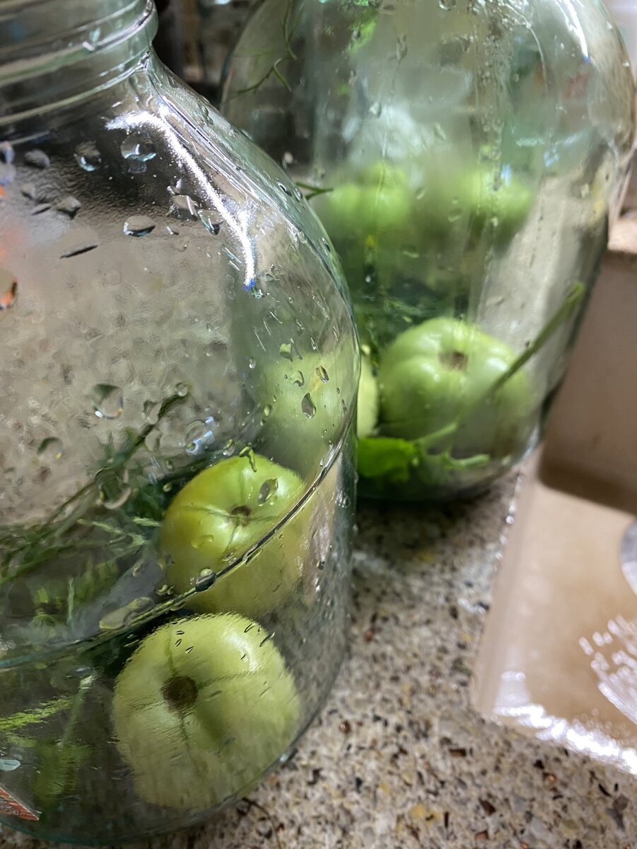 Раскладываю по банкам вместе с пряными травами - укроп, листья смородины и вишни