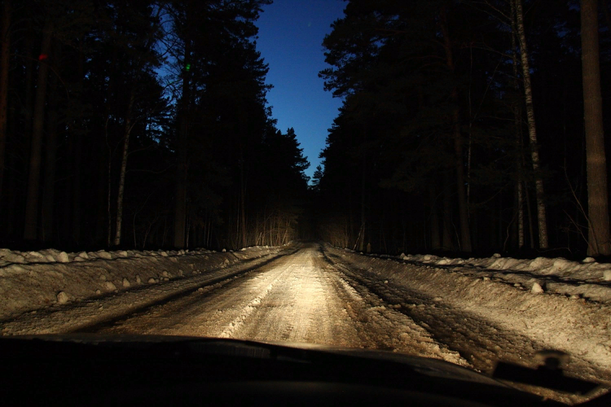 Жуть на ночной дороге. Мурашки по коже | Книга рассказов | Дзен