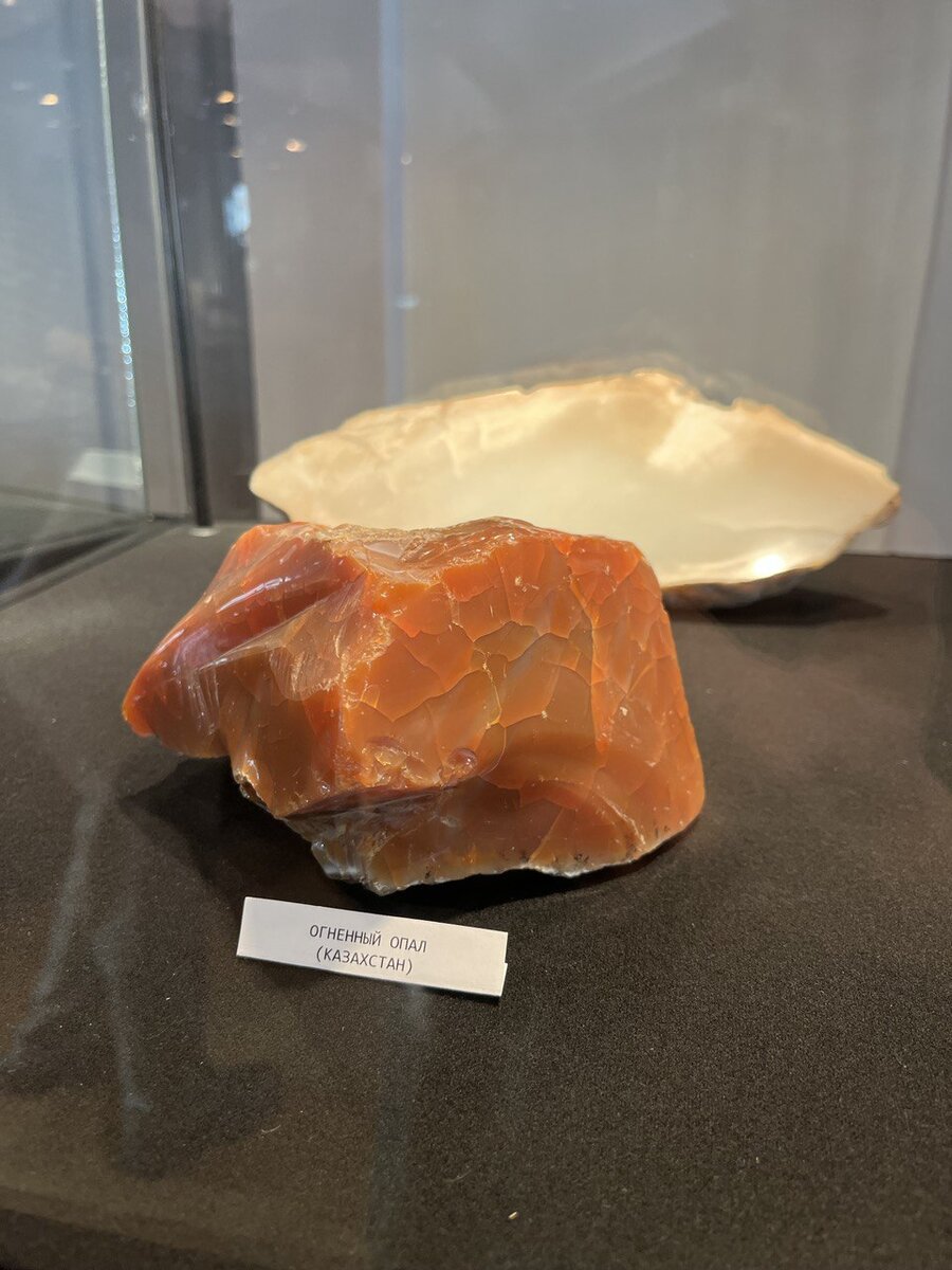 На входе в выставку стоят демонстрационные витрины. Завлекают посетителей.