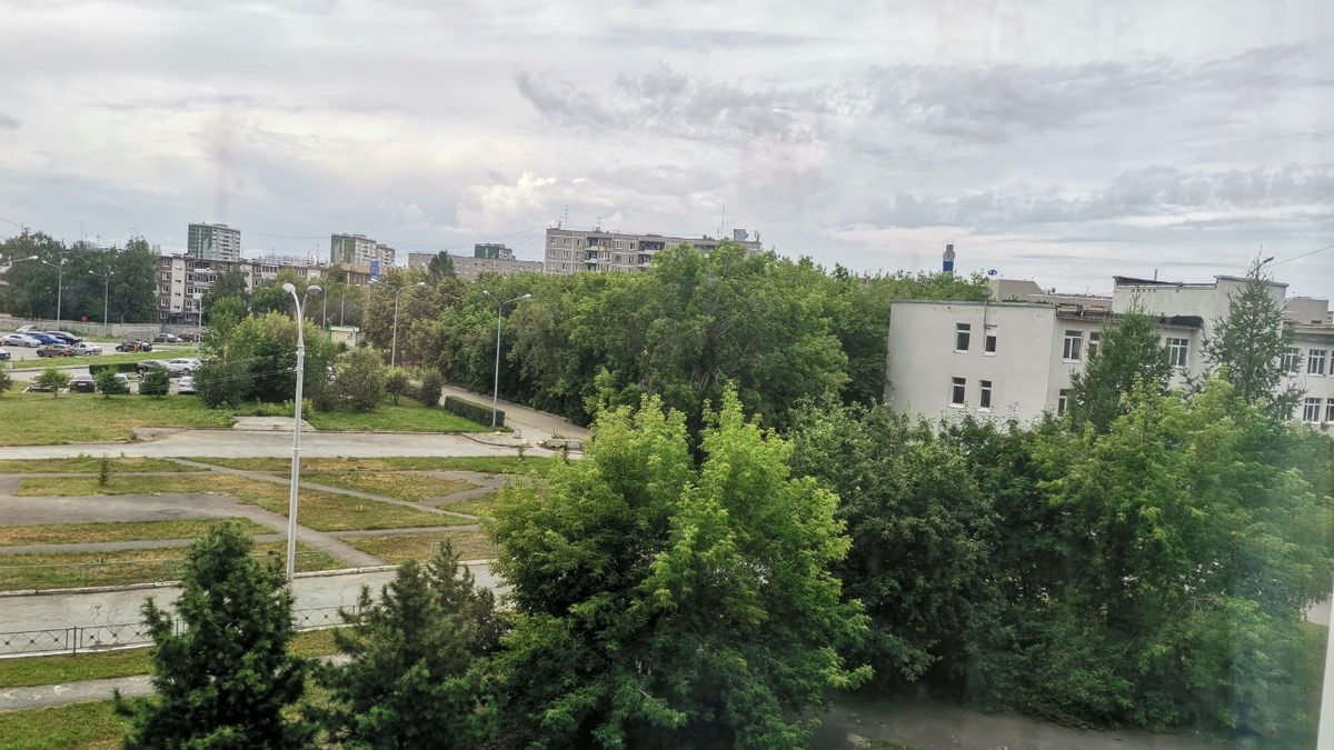 Вид из окна