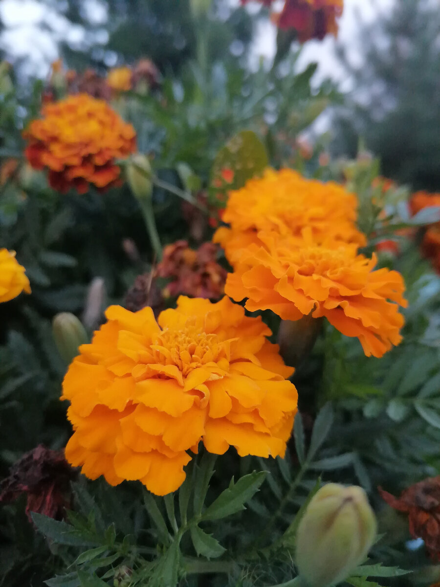 Автора фото 