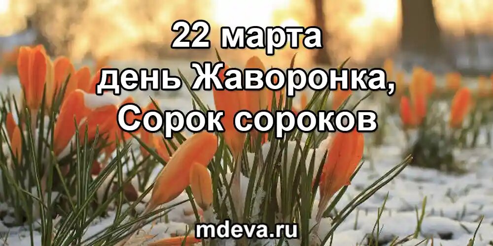 22 марта по народному календарю день Жаворонка, Сорок сороков