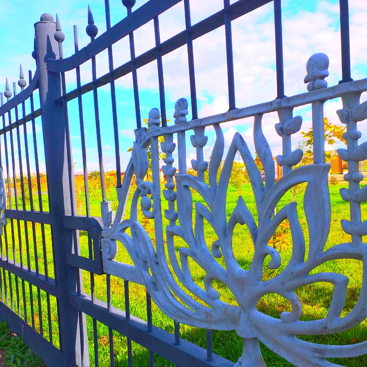 Фото моё | 2023 год | Сентябрь 