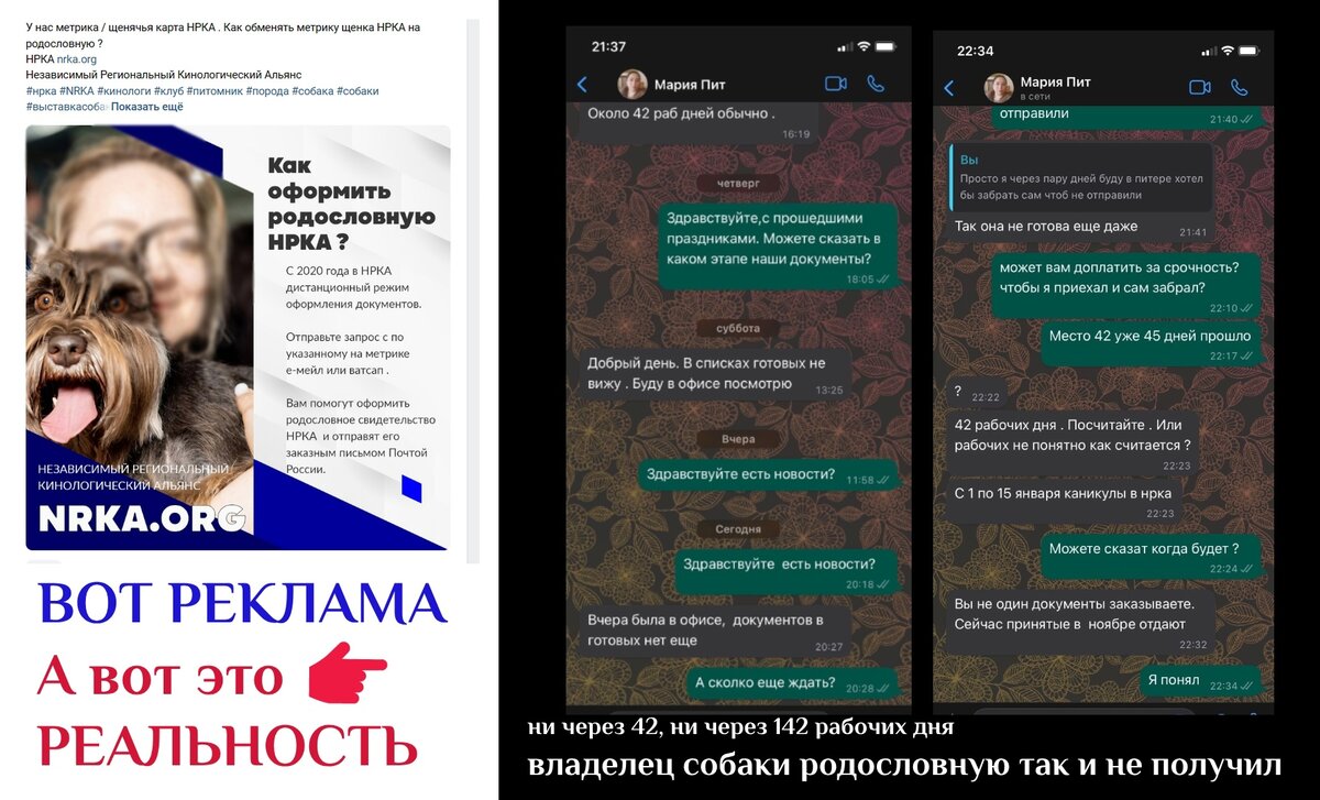  Казалось бы, какая мелочь, просто зарегистрировать помет, вписать предков собаки в родословную или ее распечатать , тем более, что  организация берет за это деньги.-2
