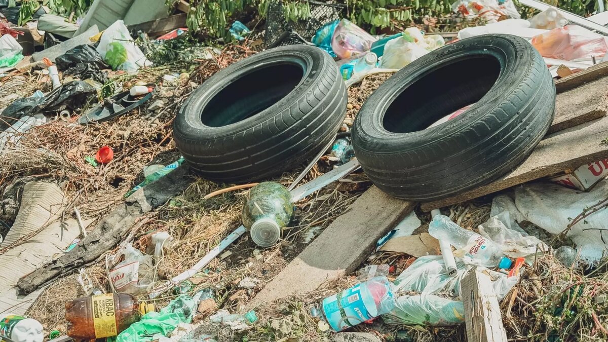 В «Ситиматик-Волгоград» рассказали подробности жалобы в ФАС |  НовостиВолгограда.ру | Дзен