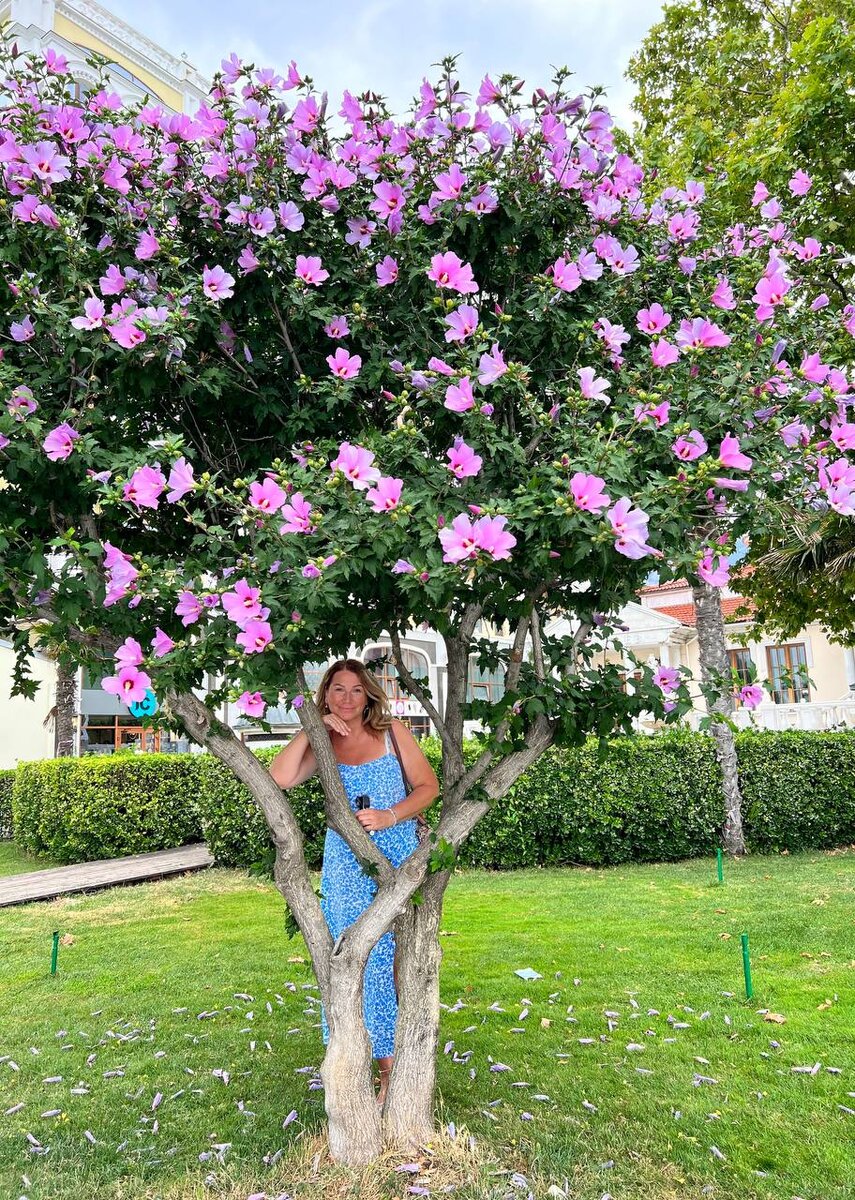 Прекрасный летний Крым