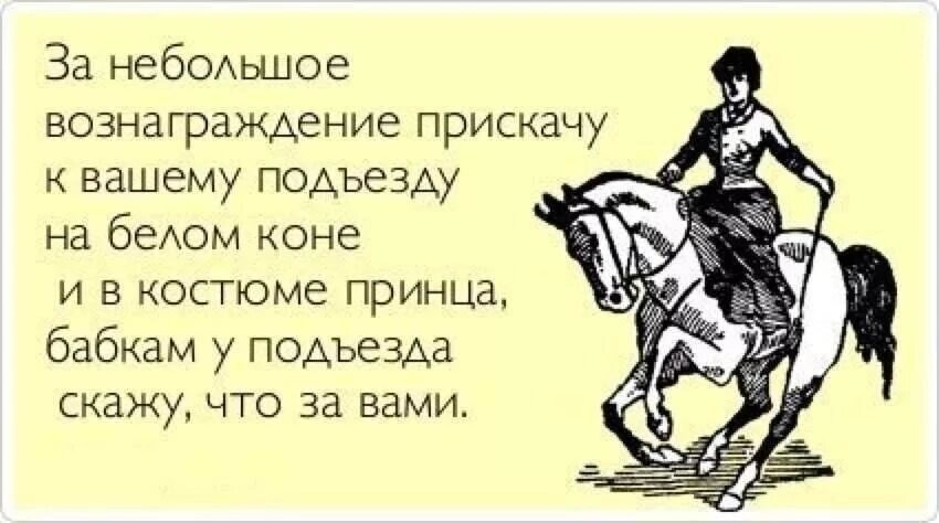 И не ахай жизнь держи как коня. Принц на белом коне прикол. Шутки про принца на белом коне. Анекдот про принца на белом коне. Шутки про лошадей.