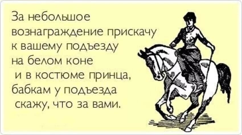 Тебе нужен принц на белом. Шутки про лошадей. Анекдот про принца на белом коне. Шутки про принца и коня. Смешные лошади.