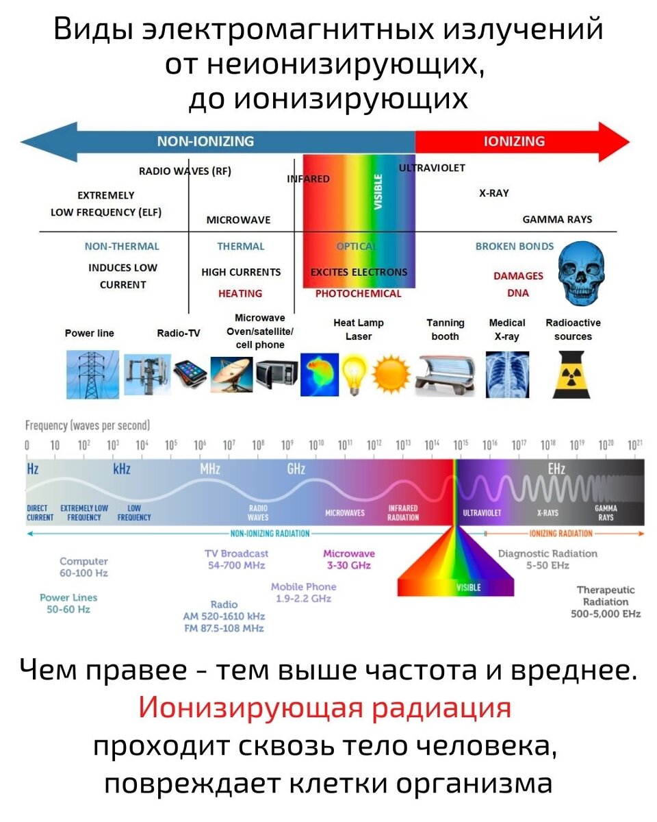 Доза имеет значение | Занимательная диагностика | Pro.Diagnosi | Дзен