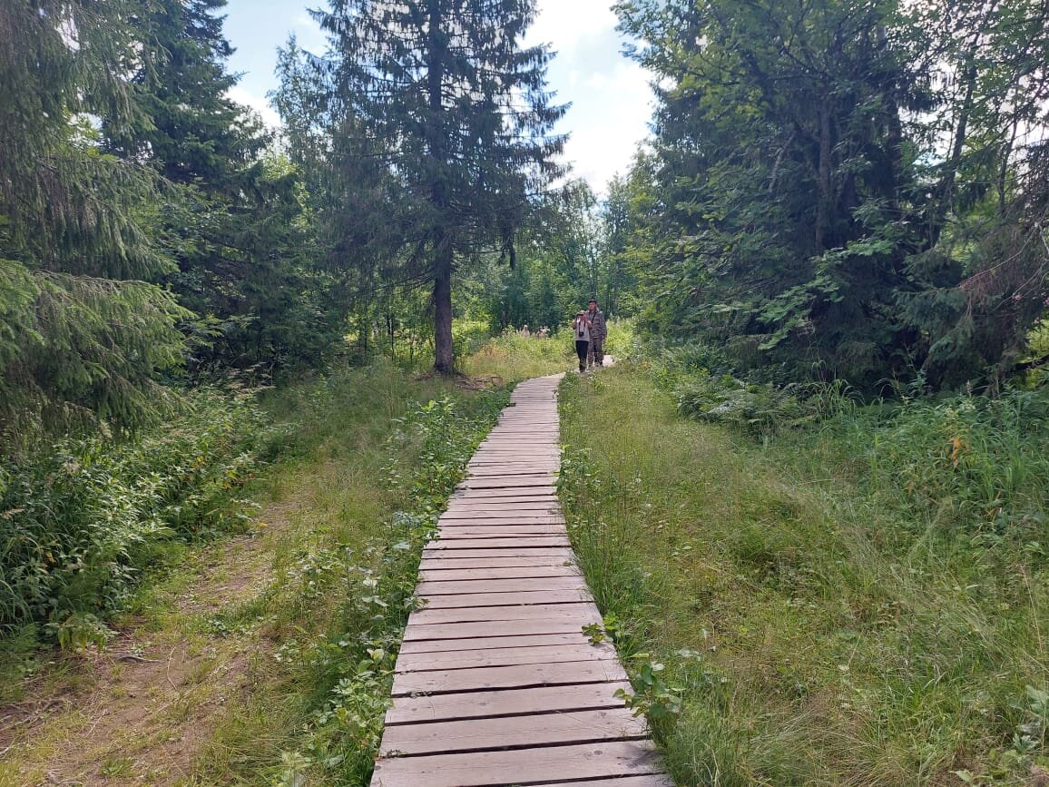 Вот такой тротуар ведёт к Каменному городу, заблудиться невозможно. Расстояние от парковки до парка примерно 1,5 км