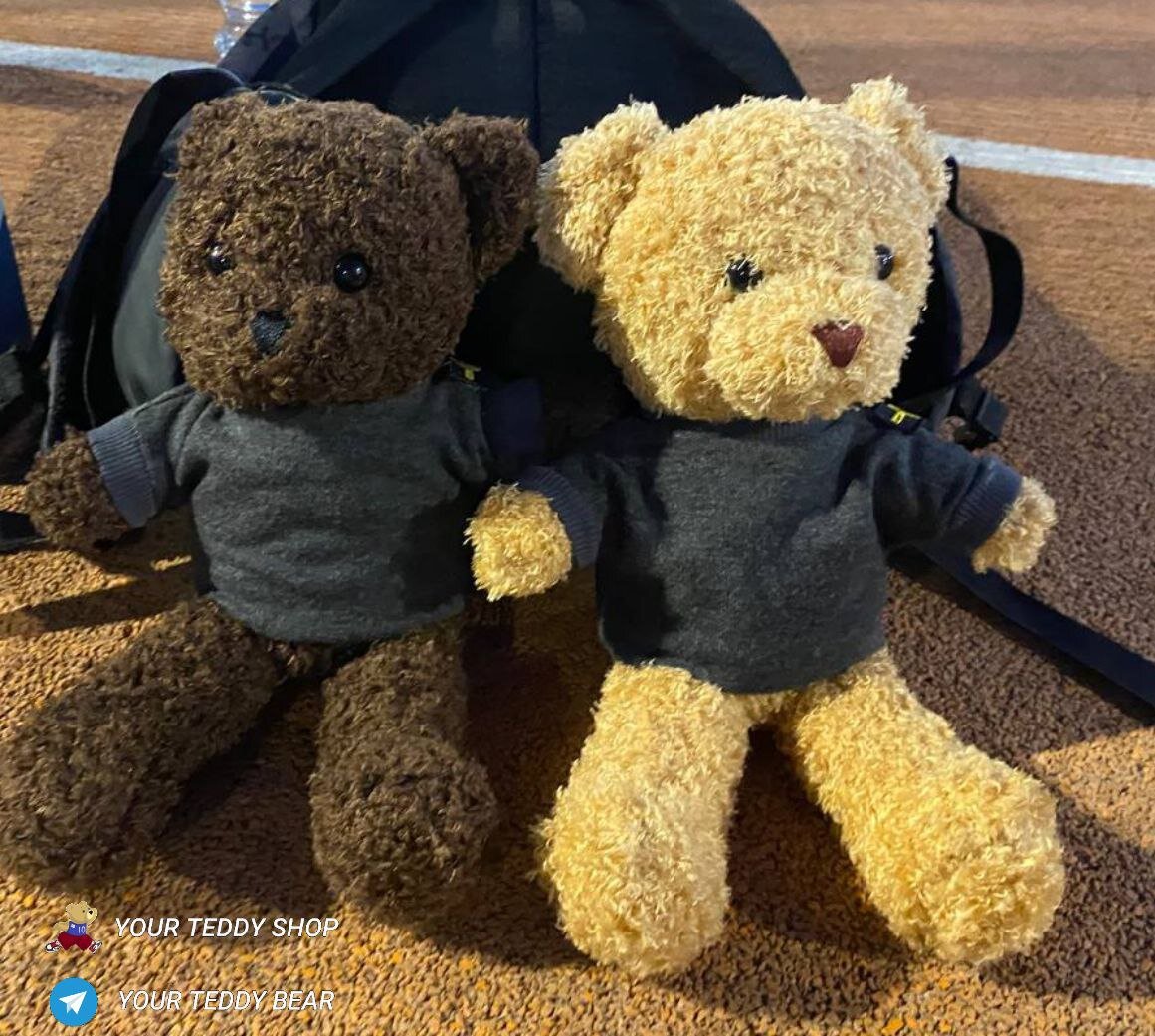 Наши плюшевые медведи, которые принесут вам миллион рублей