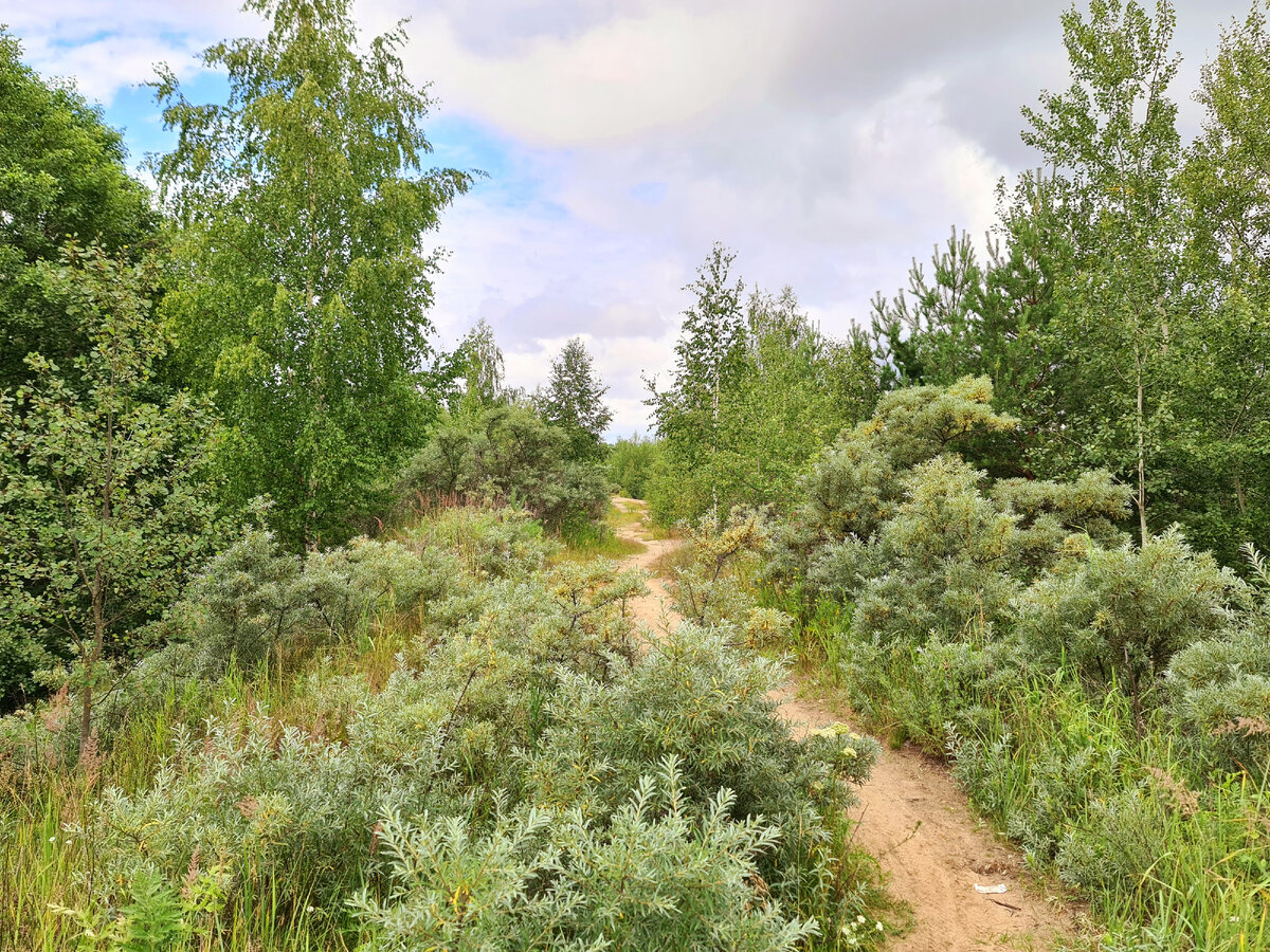 Карьеры, фото автора