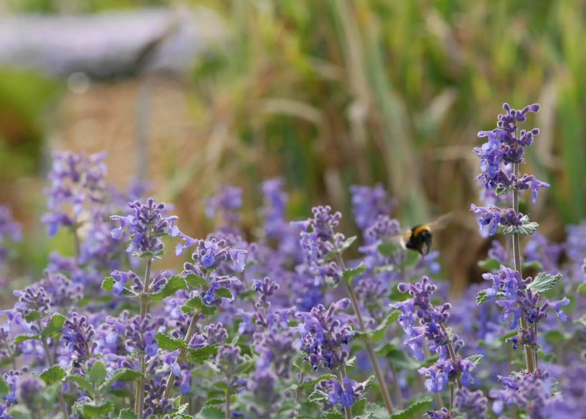 Источник фото: kartinki-i-risunki.ru