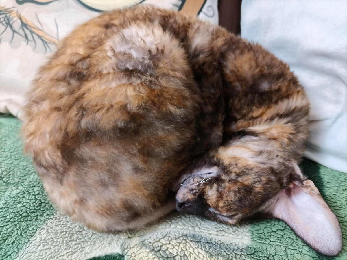 Лодырь😂😂😂