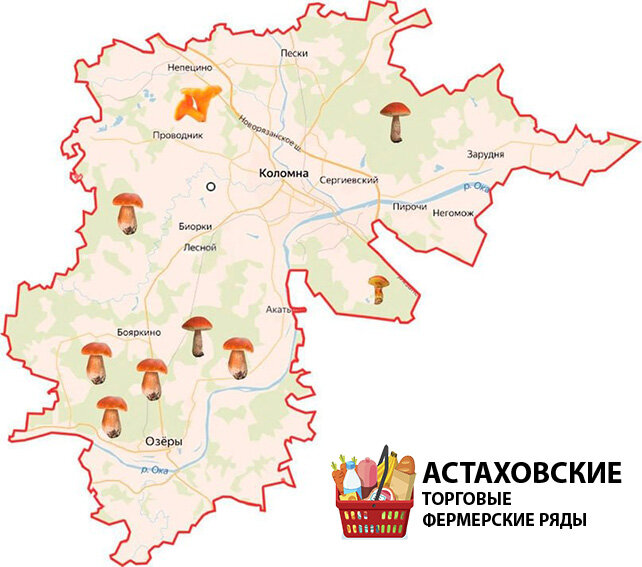 Карта грибных мест Коломенского округа