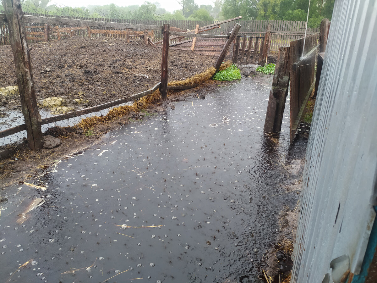 Пригон проходной утонул.