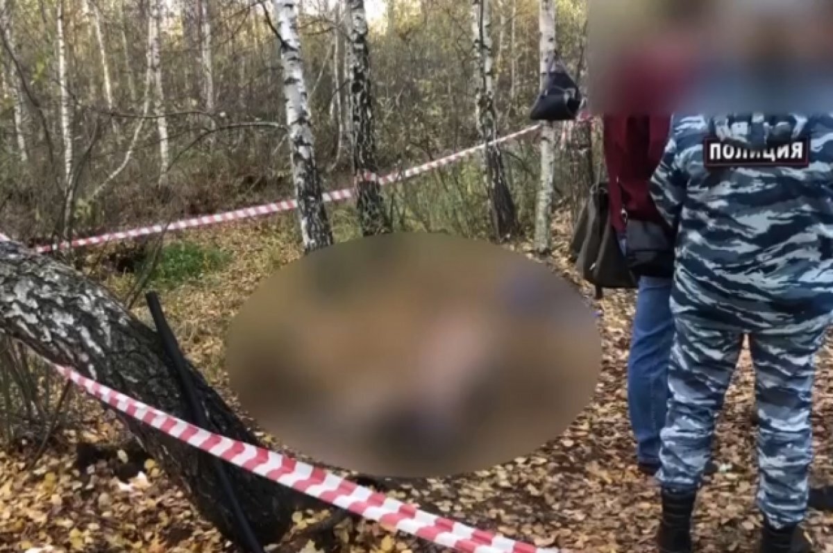    «Это несчастный случай».