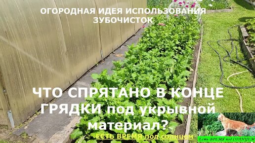 Download Video: Что СПРЯТАНО в конце грядки под укрывным материалом? Огородная идея использования зубочисток.