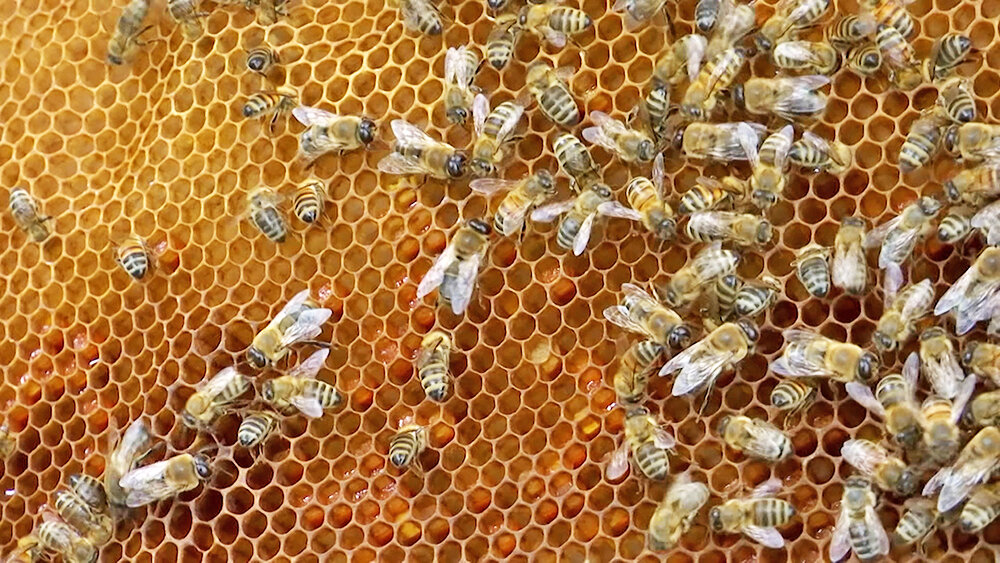    © АО "ТВ Центр"