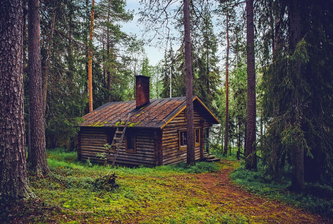 Яндекс картинки