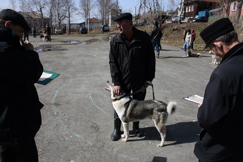 На выставке в Н.Сергах