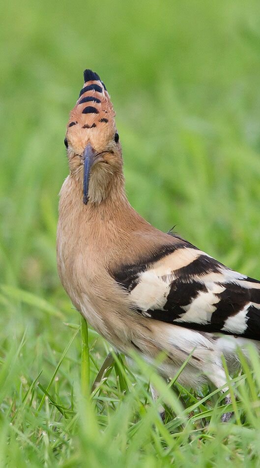 Вы меня не видели, я вас не видел..