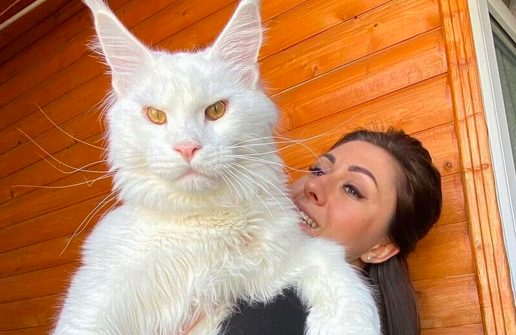 Фото: @yuliyamnn