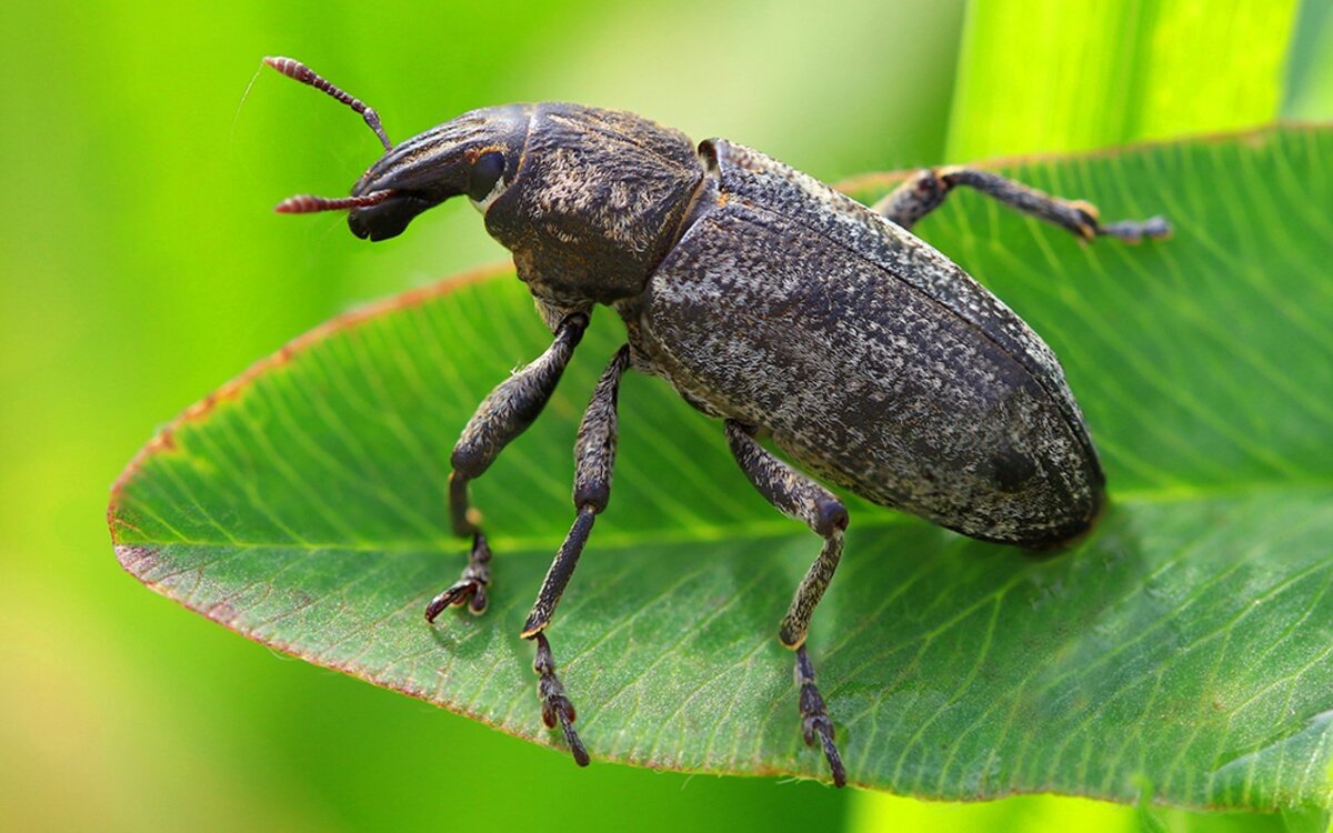 взято из открытых источников