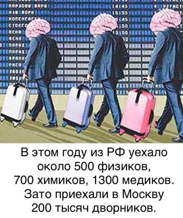 Надеждин уехал за границу. Утечка мозгов. Утечка умов. Утечка мозгов из СССР И России. Утечка мозгов из России.