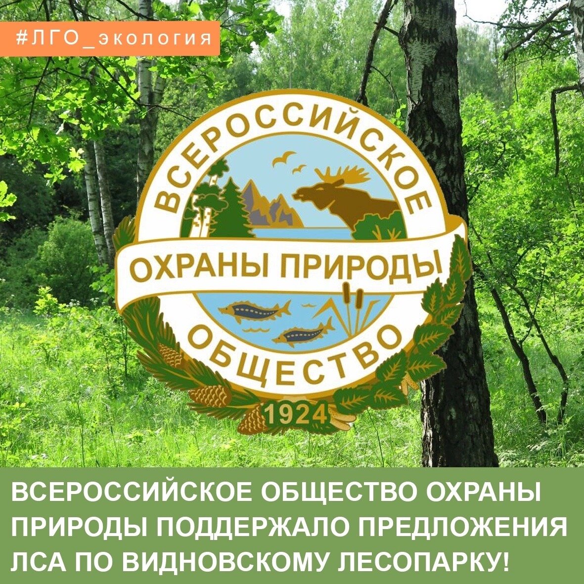 ВСЕРОССИЙСКОЕ ОБЩЕСТВО ОХРАНЫ ПРИРОДЫ ПОДДЕРЖАЛО ПРЕДЛОЖЕНИЯ ЛСА ПО  ВИДНОВСКОМУ ЛЕСОПАРКУ! | Ленинский Совет Активистов | Дзен