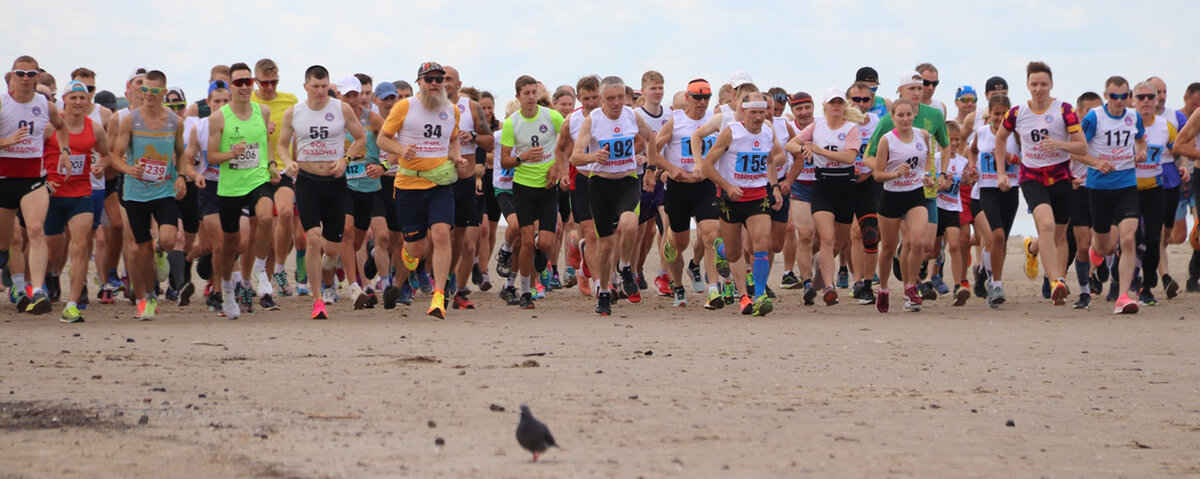 Если голубь не умеет летать - жить ему осталось несколько секунд