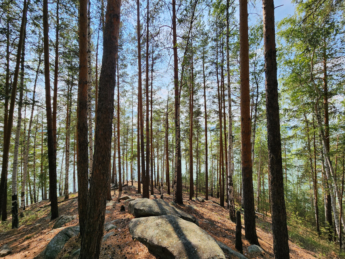 Вид с горы на озеро