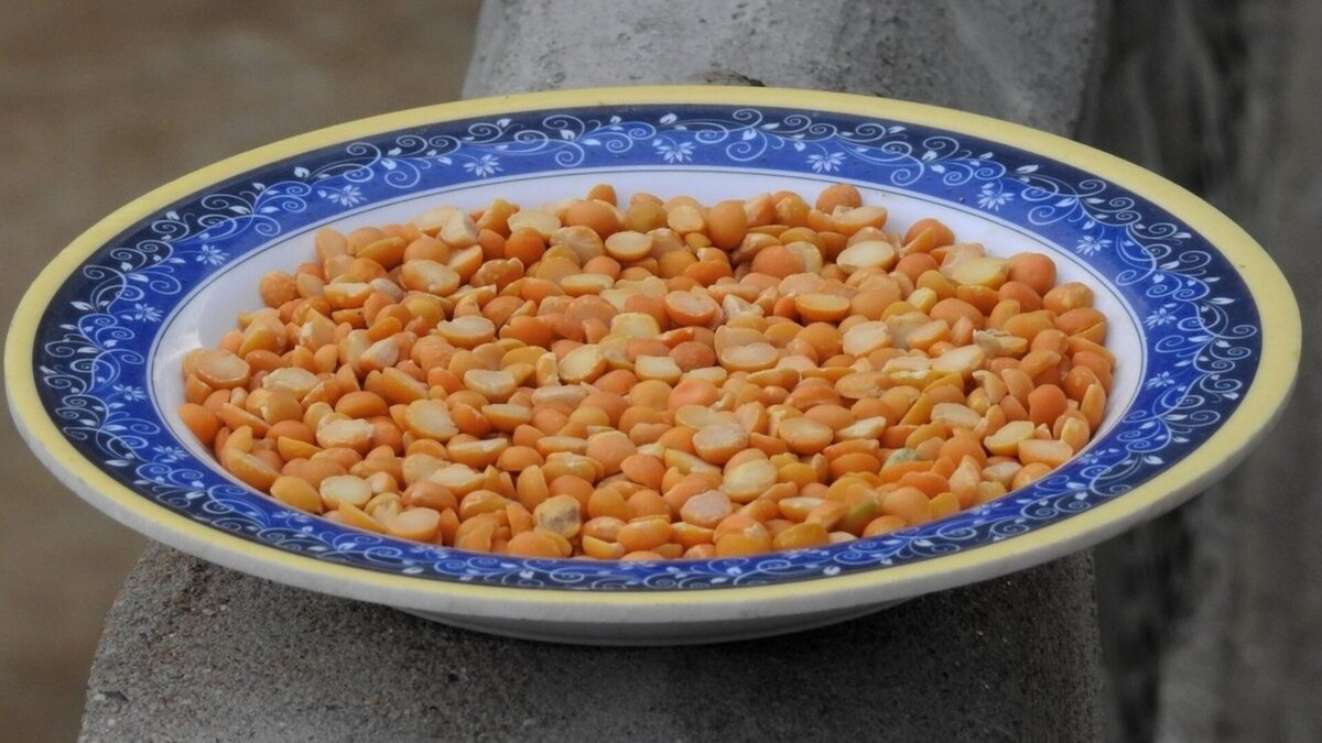   Saleem Hashim/Shutterstock.com