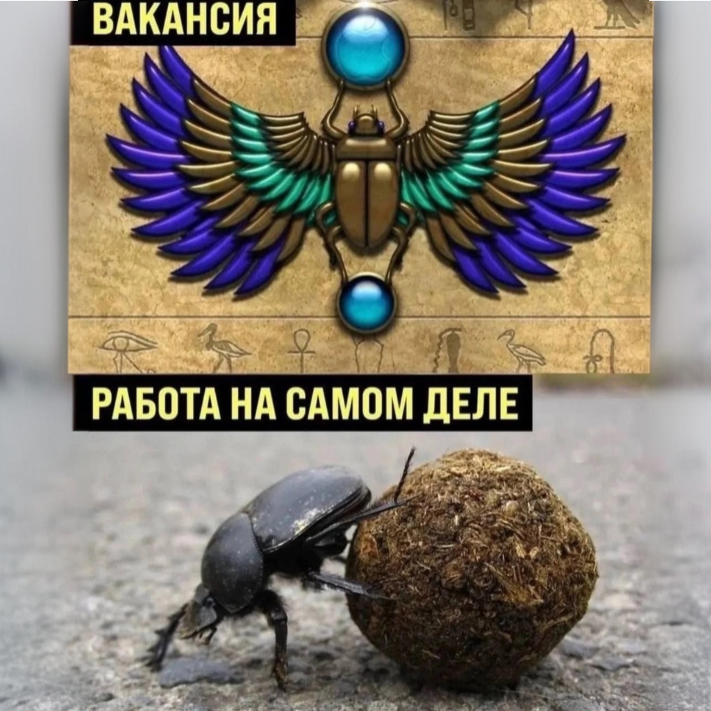 Фото из открытых источников.