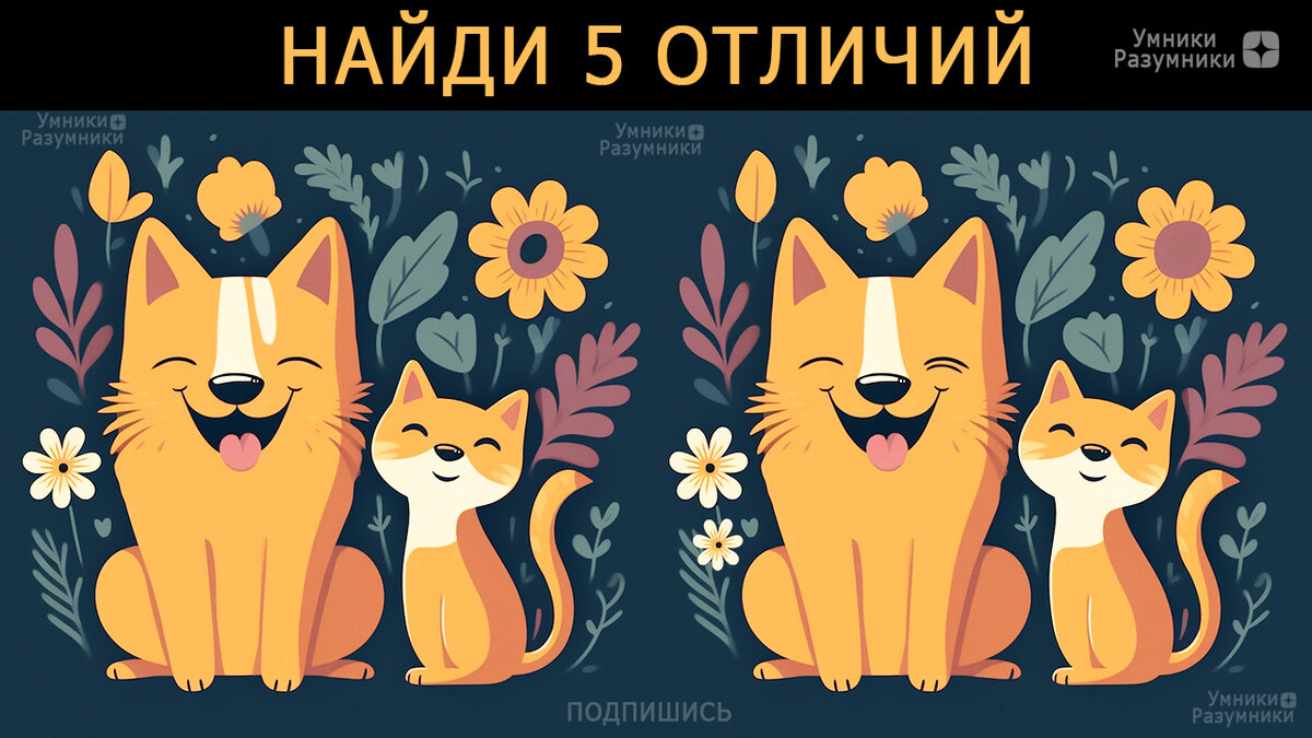 Найди 5 отличий