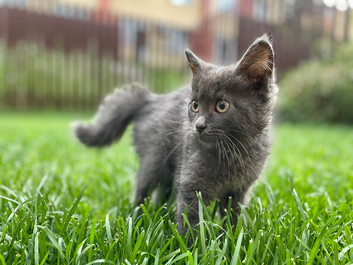 Здравствуйте, я ваша тетя, то есть ваш геморрой.