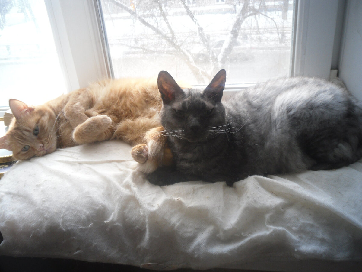 Личное фото