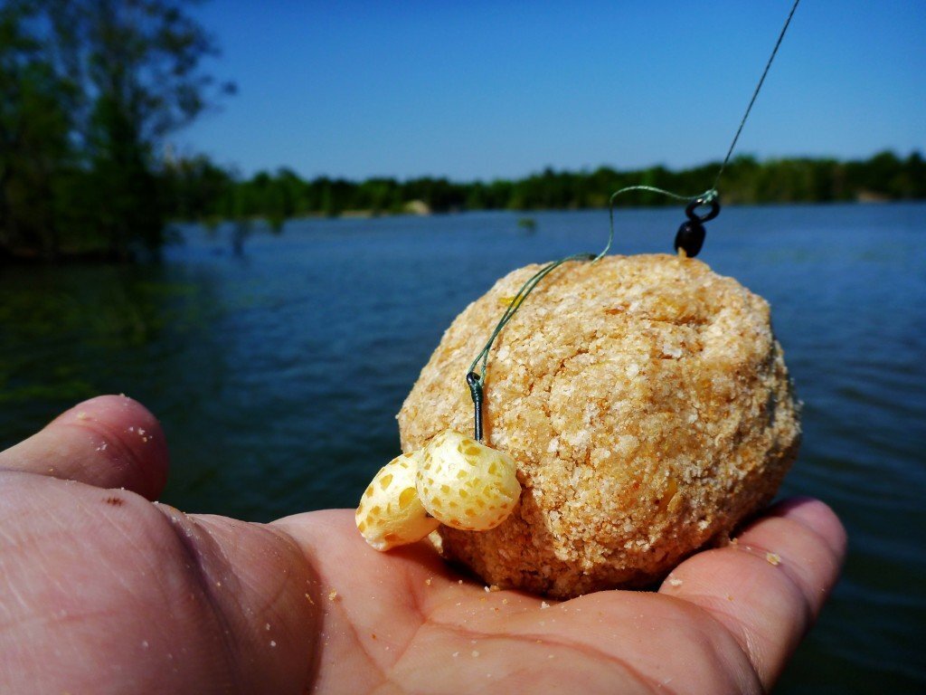 Фото с сайта: https://novikovnn.ru