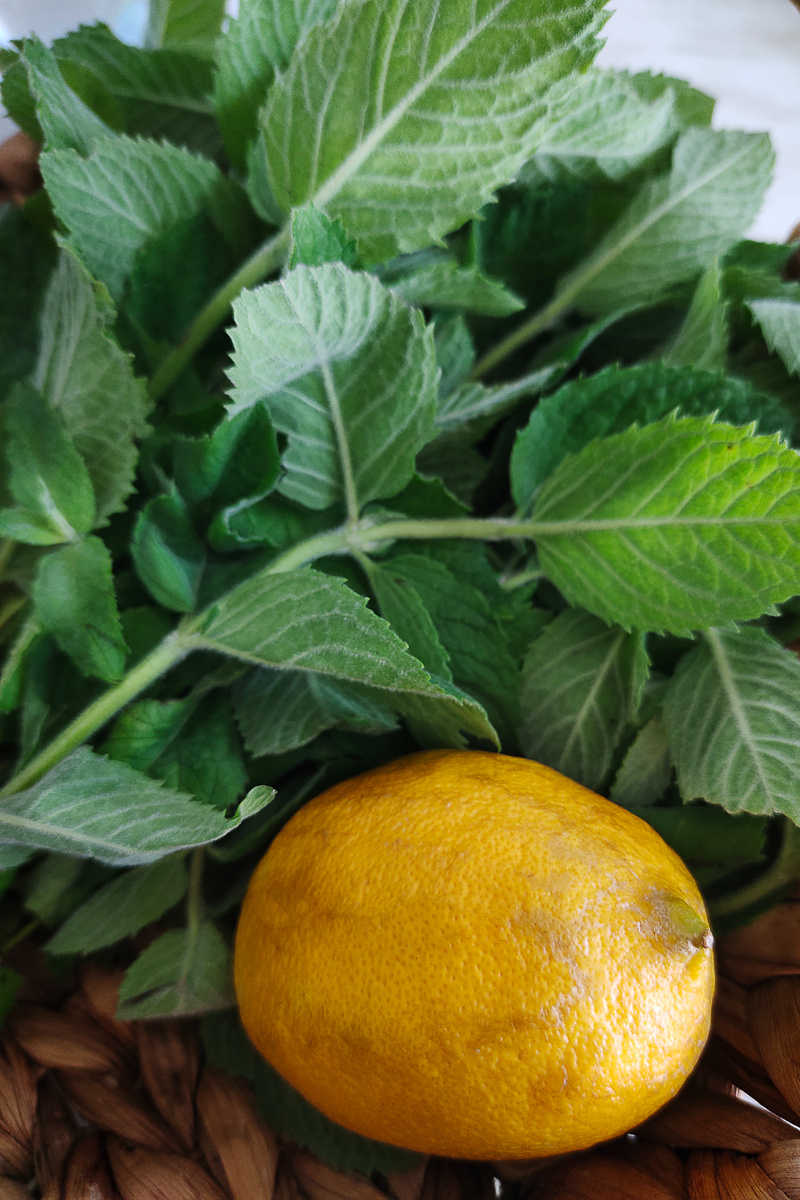 Ингредиенты для домашнего лимонада