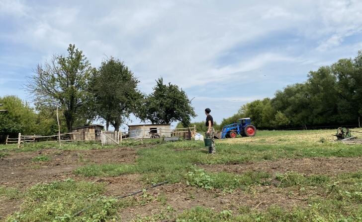    фото Курские известия