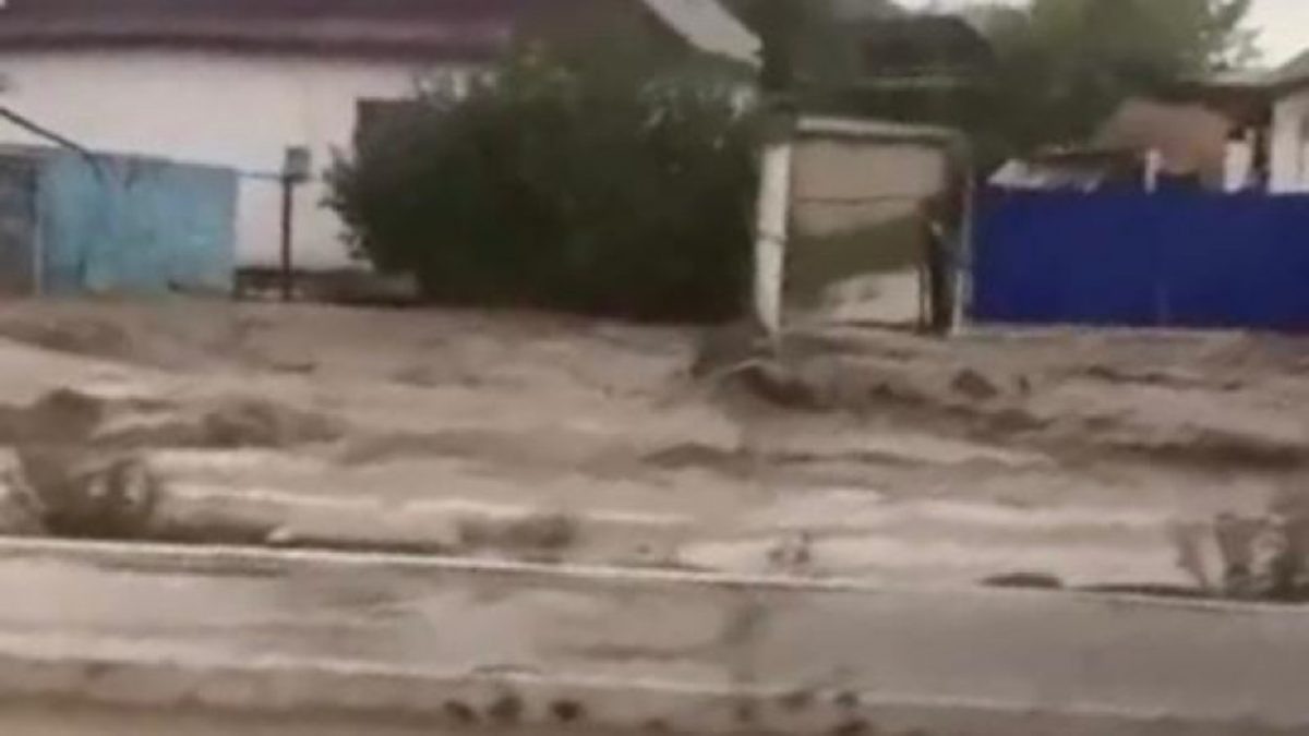    Фото: кадр из видео Рашид Ахмежанов