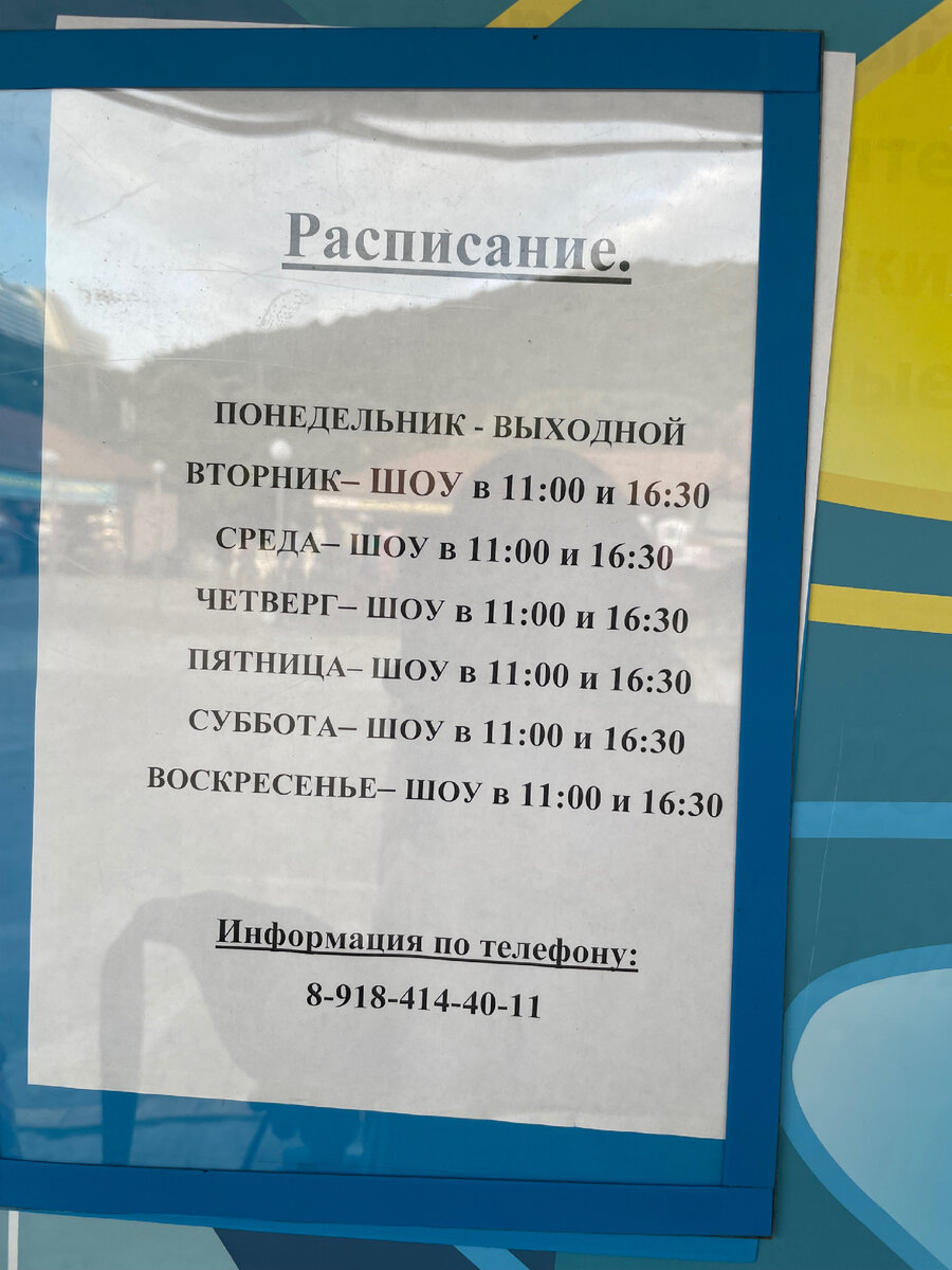 Сразу сфотографировала расписание 