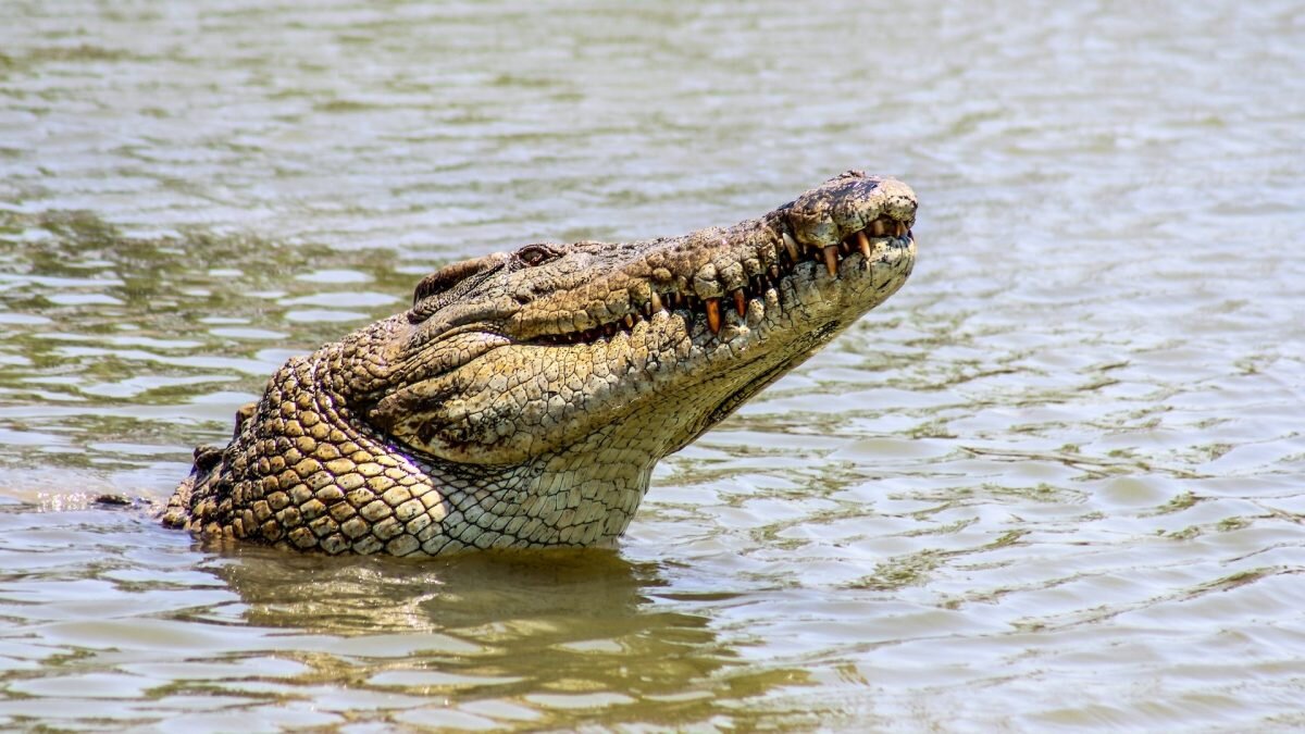    Фото: unsplash.com. Август Макаров