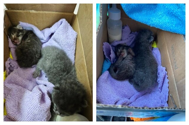    Фото: Предоставлено героем публикации