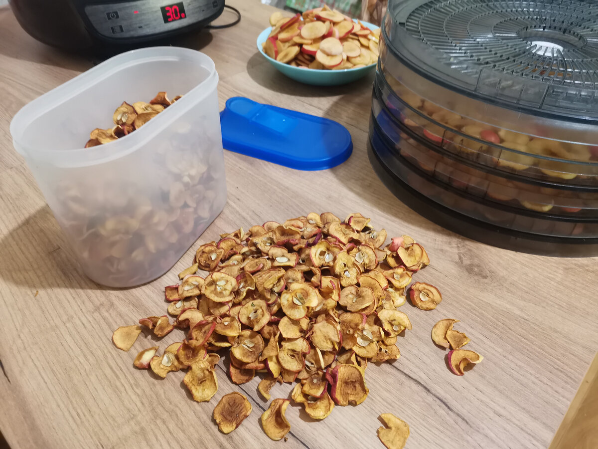 Сушка яблок на зиму. Рамки для сушки яблок. Моль в сушке яблок фото