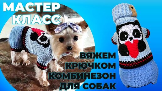 Почему собаки имитируют половое поведение? | Hill's Pet