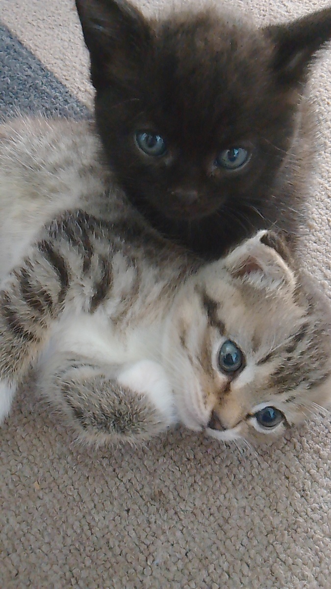 Уже в ожидании каникул 😹