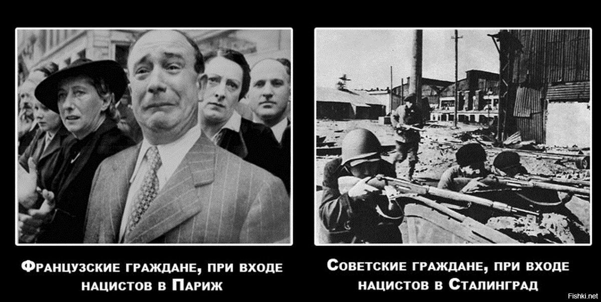 Яндекс. Картинки.