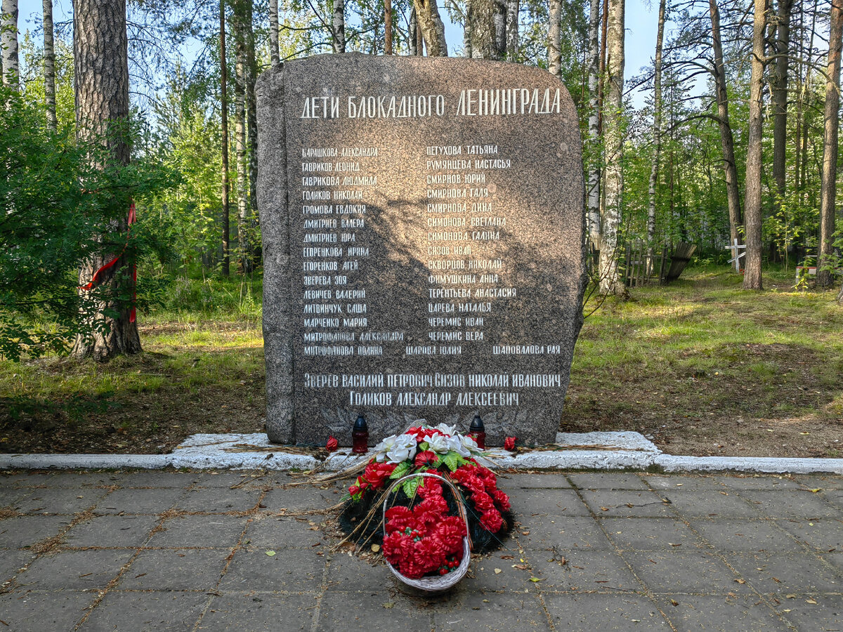 Познавательная прогулка по г. Сертолово - корабль-спутник 