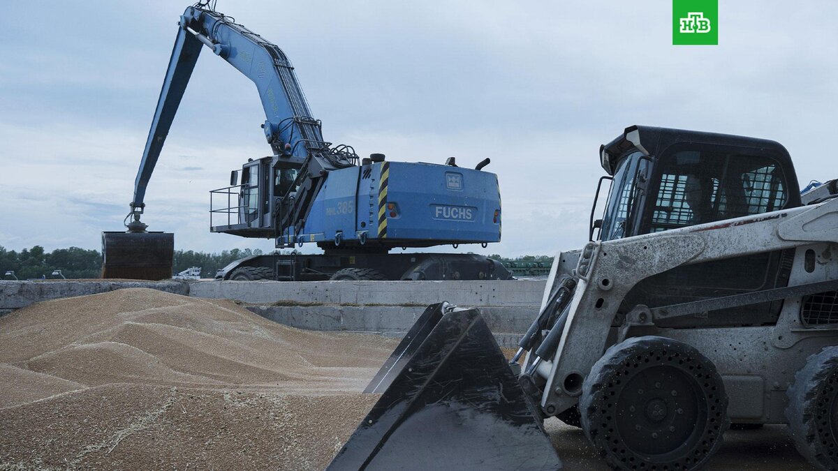    Фото: Associated Press © 2023, Andrew Kravchenko